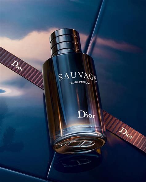 dior sauvage miris|sauvage parfum Dior kolonjska voda.